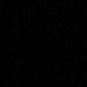 Meet your Posher, Tyson